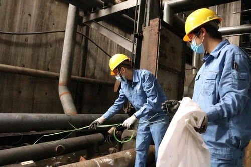 青春在檢修現場閃光 公司機關青年突擊隊助力裝置大修，以擔當詮釋責任